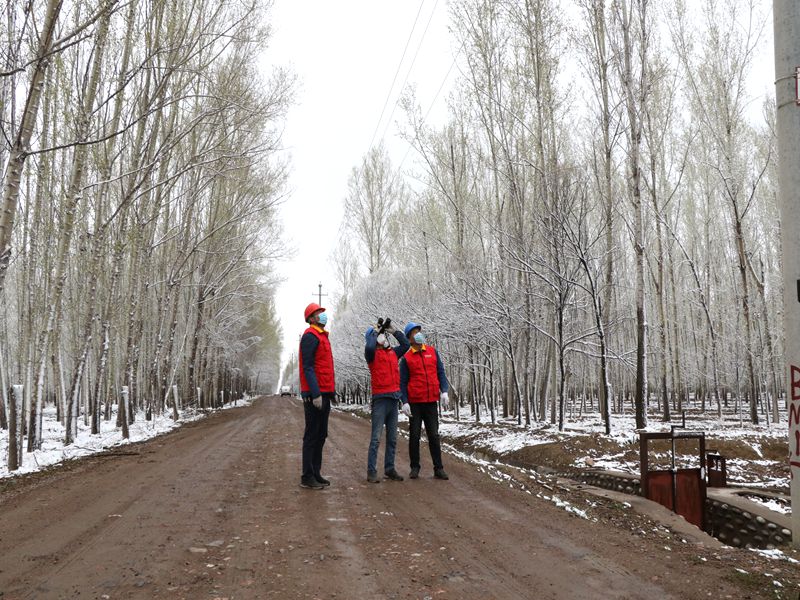 國(guó)網(wǎng)伊犁伊河供電公司四月飛雪，電力員工巡視線路保供電