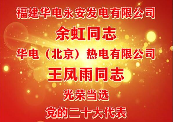 中國(guó)華電余虹、王鳳雨同志當(dāng)選黨的二十大代表