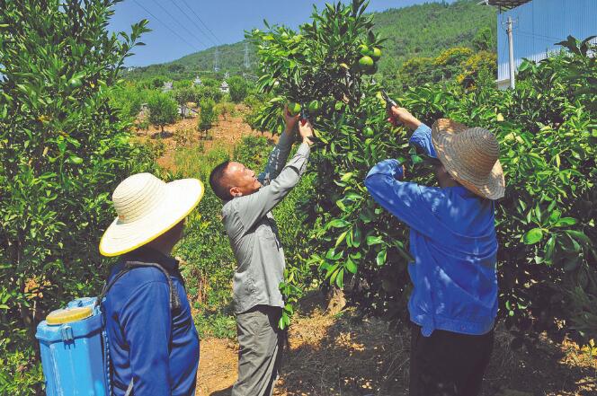 王國洲：把村事當家事，把村民當親人