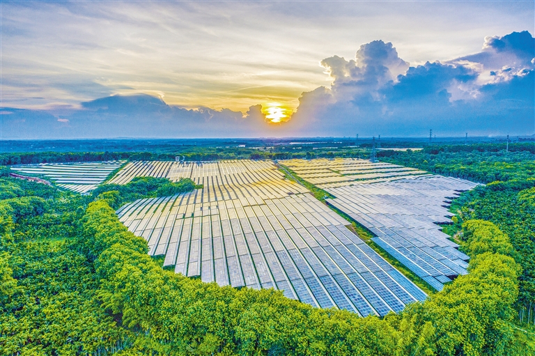 海南電網(wǎng)公司加快構(gòu)建現(xiàn)代供電服務(wù)體系，驅(qū)動(dòng)鄉(xiāng)村振興電力引擎