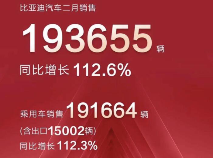 2月新能源車企成績(jī)單出爐，比亞迪一騎絕塵