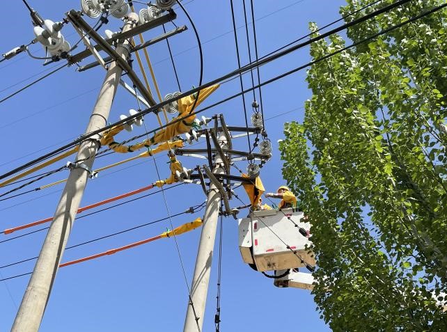 帶電作業(yè)除隱患，安全供電有保障