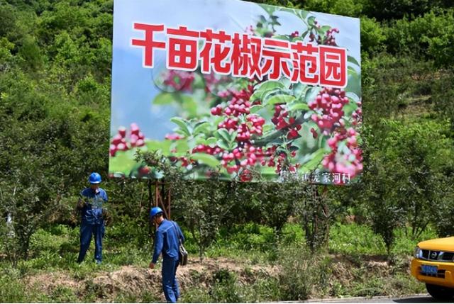 國網(wǎng)鳳縣供電公司當(dāng)好電力保障排頭兵 助力唐藏椒飄香