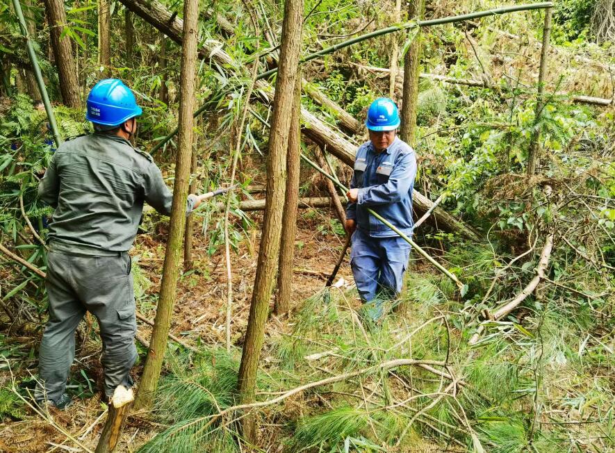 南方電網(wǎng)荔波供電局線路憂患如“猛獸”，通道清通要爭先