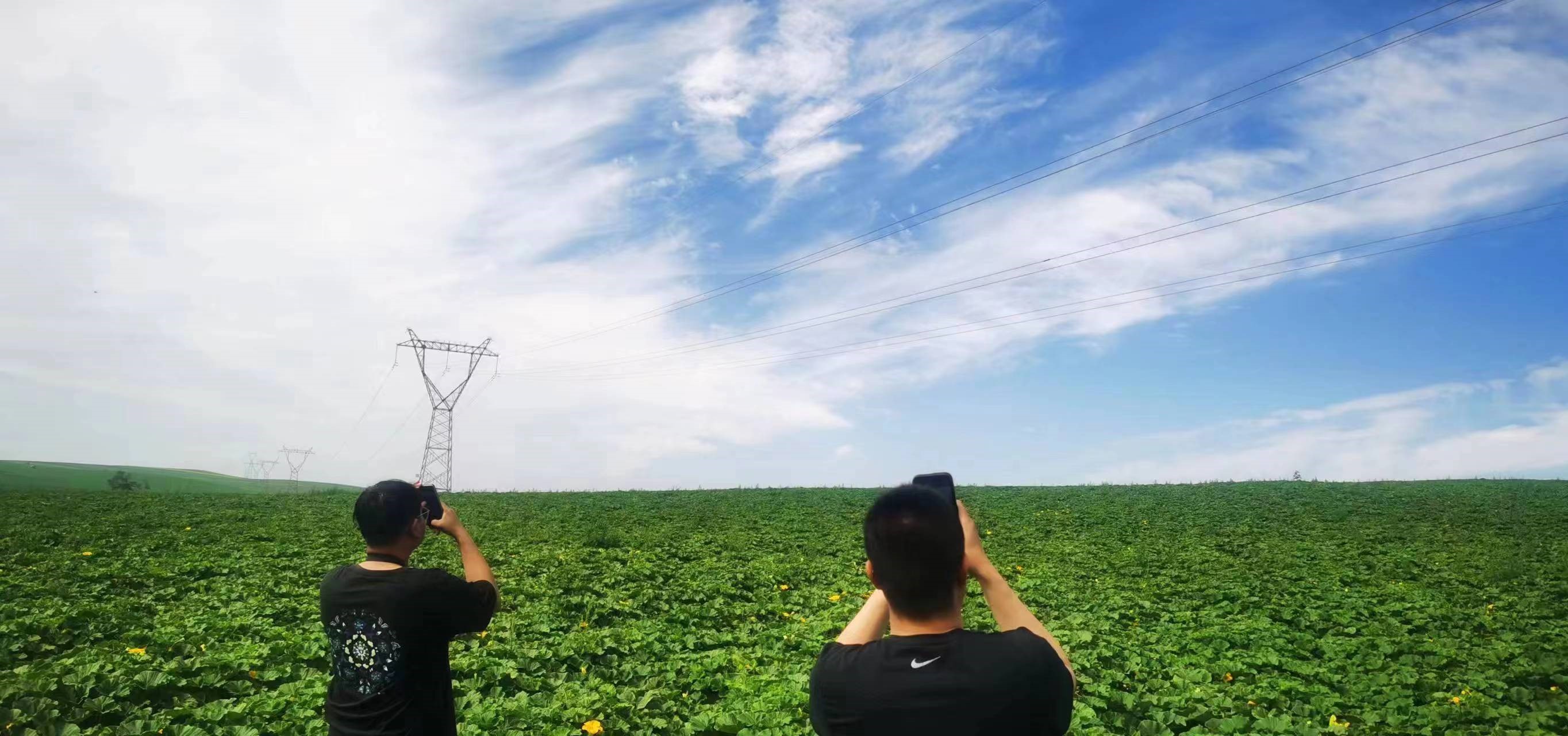 四子王輸變電管理處：防外力破壞，助安全運行