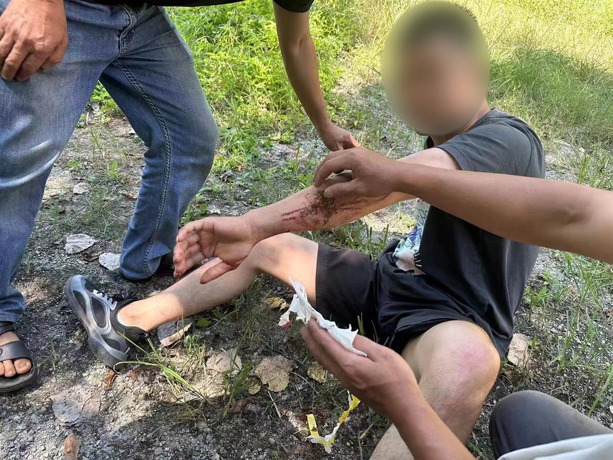 男子私設(shè)電網(wǎng)30余米，沒捕獲獵物卻電傷路人被刑拘