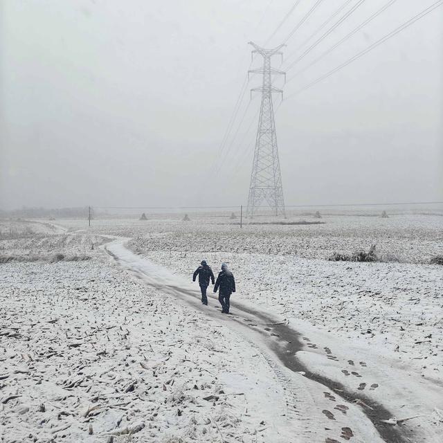 國網遼寧電力公司全力應對遼寧首輪雨雪天氣