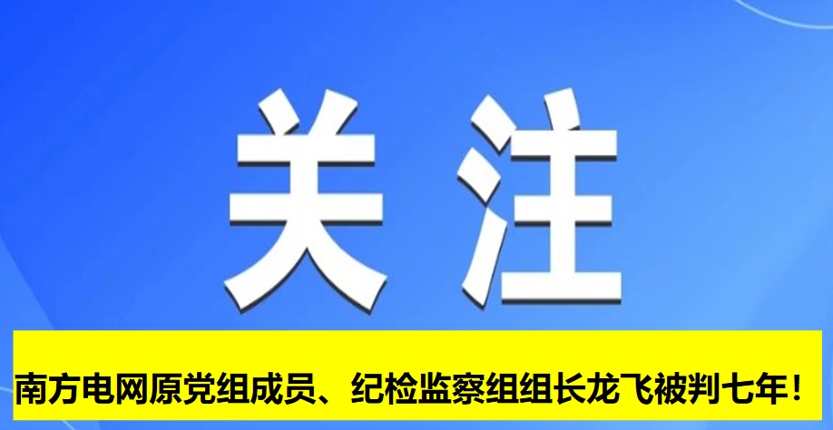 南方電網(wǎng)原黨組成員、紀(jì)檢監(jiān)察組組長龍飛被判