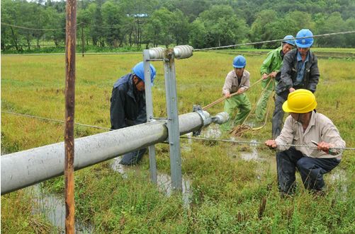 建陽市供電公司冒雨快速搶修倒桿 