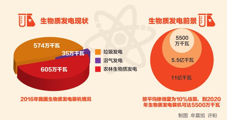 深度丨燃煤生物質耦合發(fā)電：煤電轉型新路徑